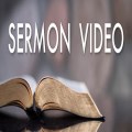 Summer Video Sermon Series. Tim Mackie "Paradise Now".